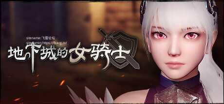 [3D/PC/官中] 地下城的女骑士 地下城の女騎士 Steam官中步兵版 [2G/微云OD]-快乐广场