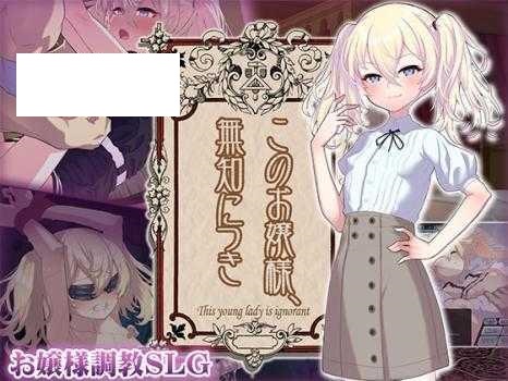 [SLG/PC/AI汉化] 这位小姐，因无知所致。 このお嬢様、無知につき Ver2 V1.1.0 [355M/微云OD]-哇趣吧